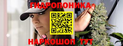 PSILOCYBIN Ликино-Дулёво
