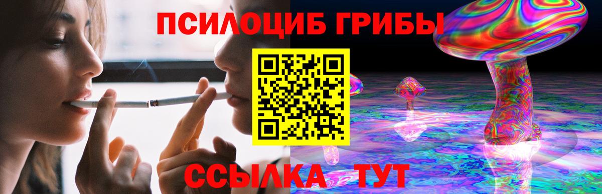 Галлюциногенные грибы Psilocybe Димитровград